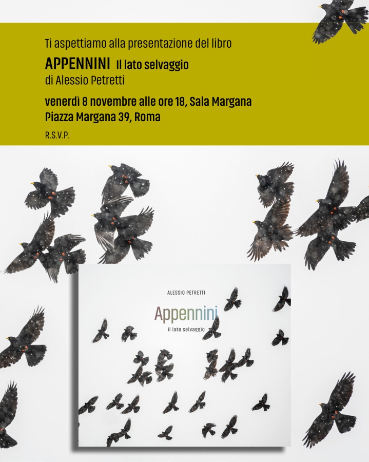 Book presentation at Sala Margana, in Piazza Margana 39, Rome. Author Alessio Petretti presents his APPENNINI Il lato selvaggio. Friday 8 November 2024 at 6 PM.